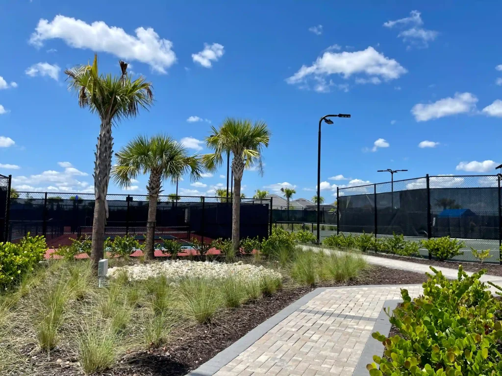 Palm trees along a paved walkway with a chain-link fence on a sunny day under a blue sky with white clouds.
